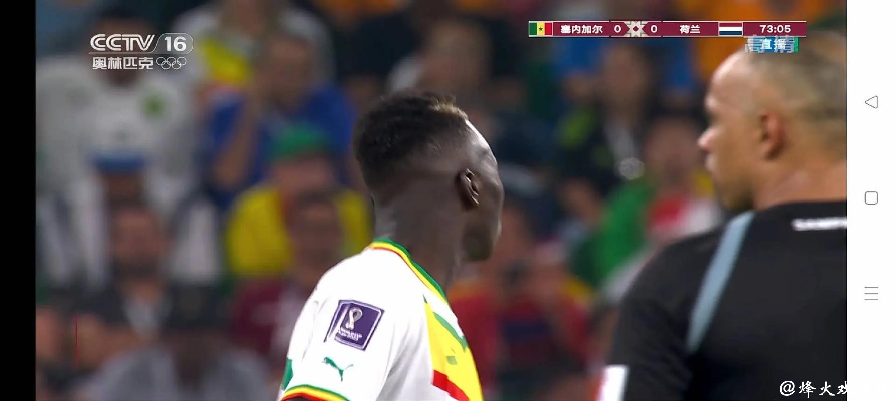 高清世界杯在线直播网全程观看平台