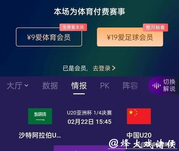 在线观看世界杯亚洲预选赛直播全攻略